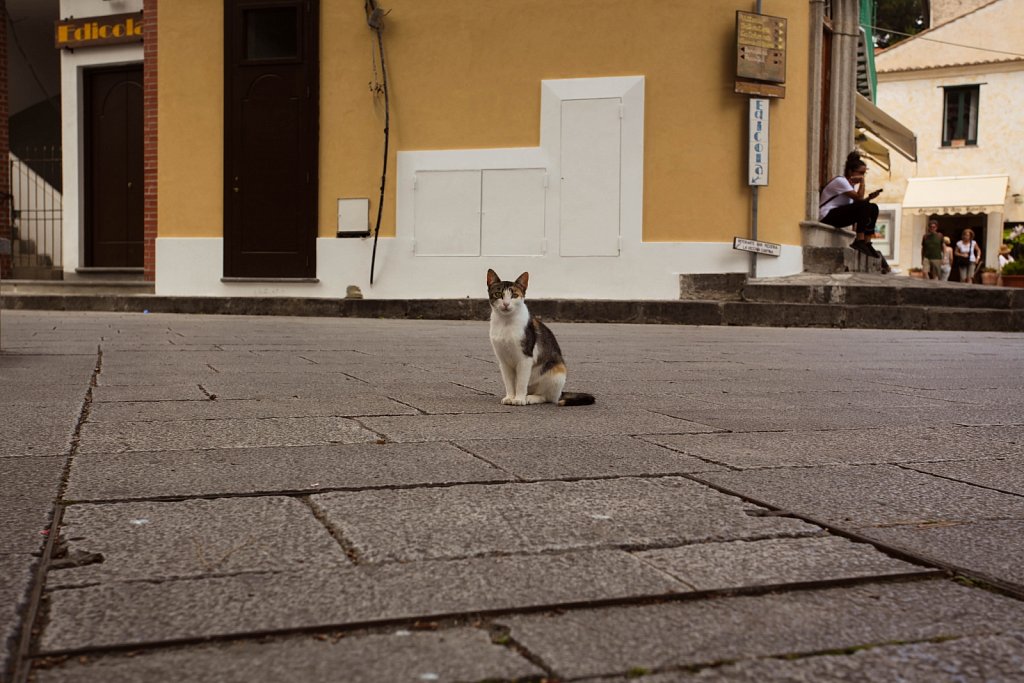 Ravello